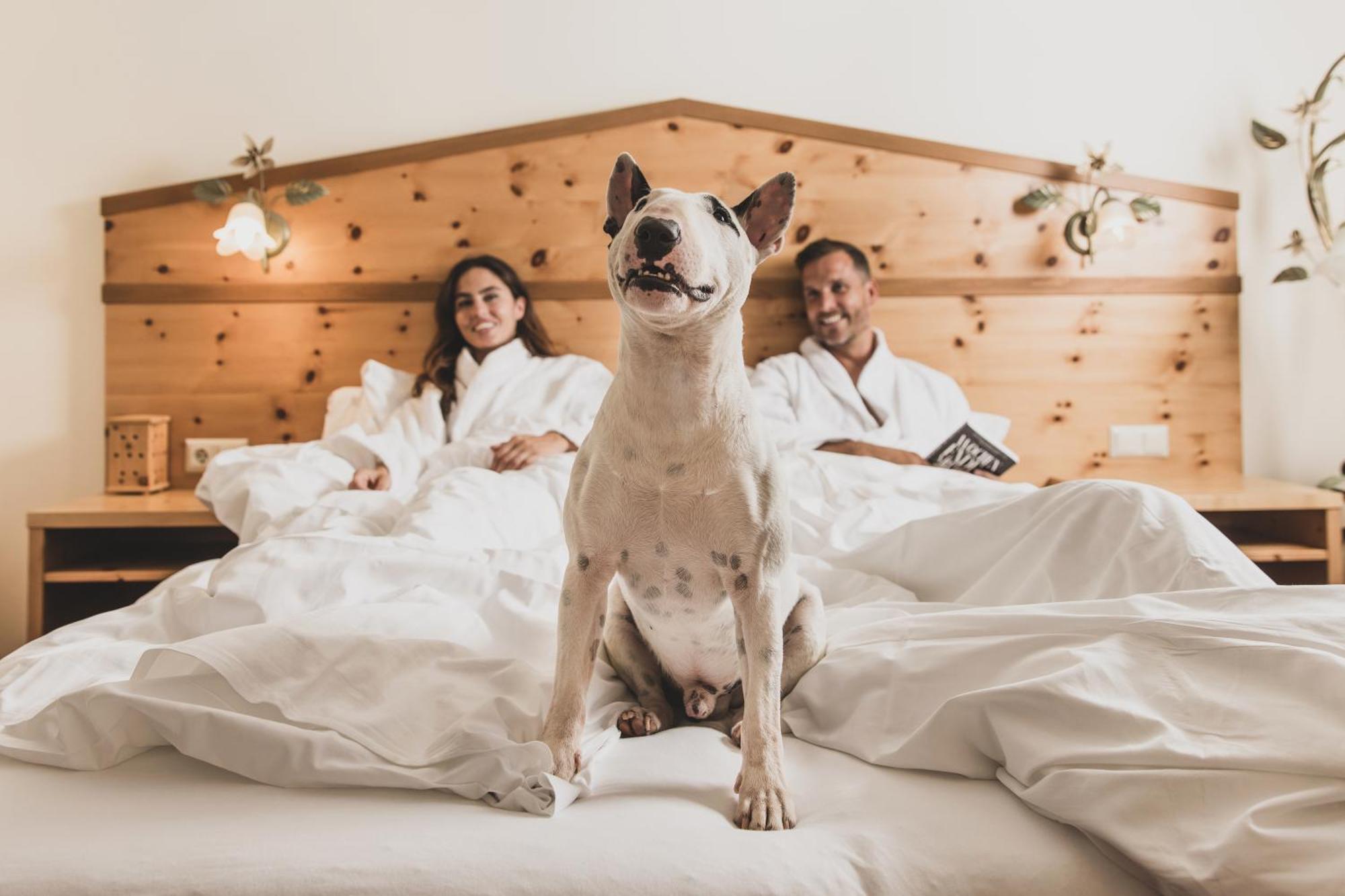Seehotel Jaegerwirt Turracher Höhe Buitenkant foto
